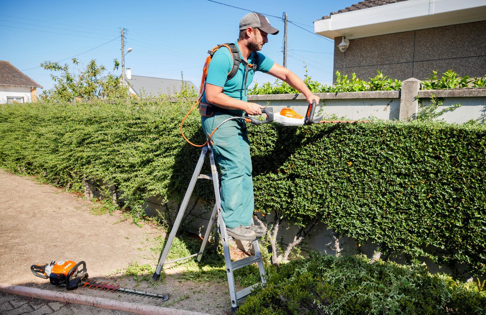 jardinage à tunisie