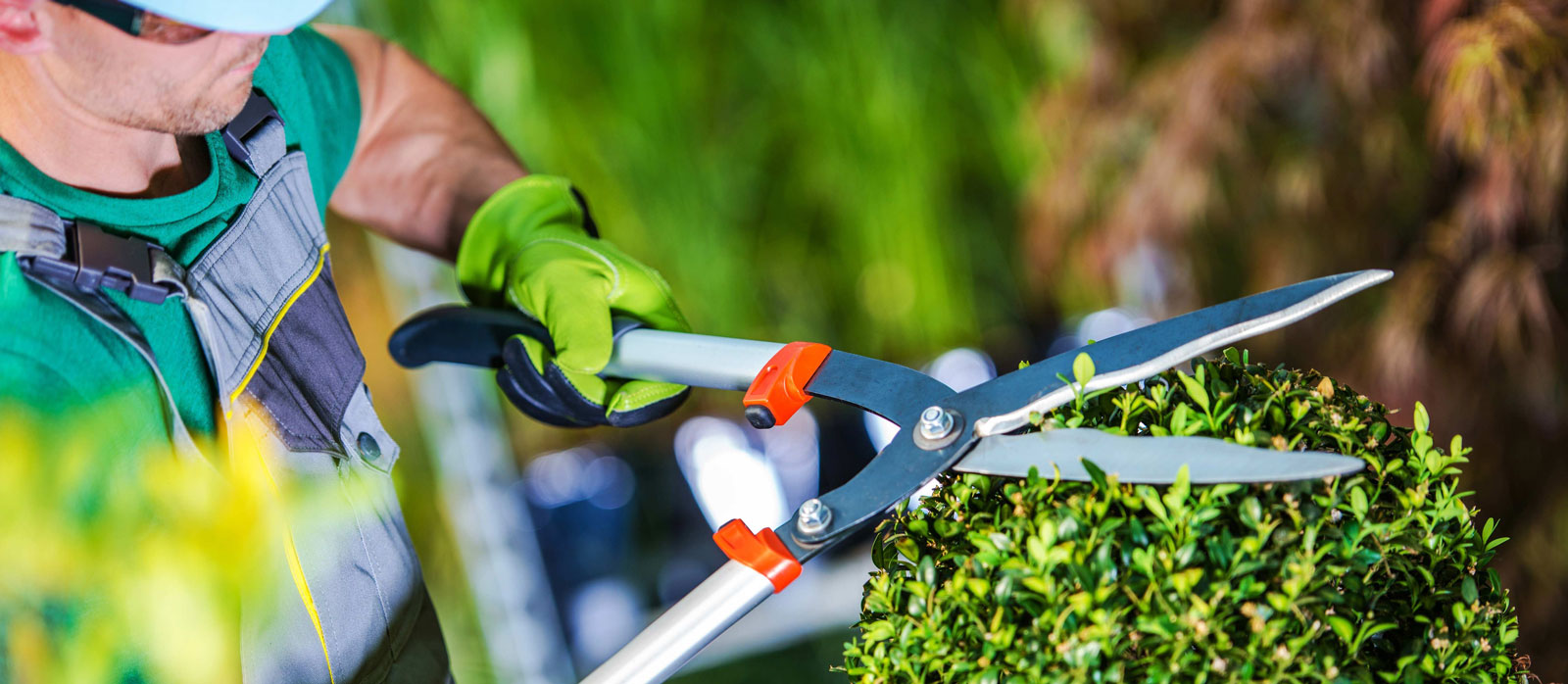 service de Jardinage